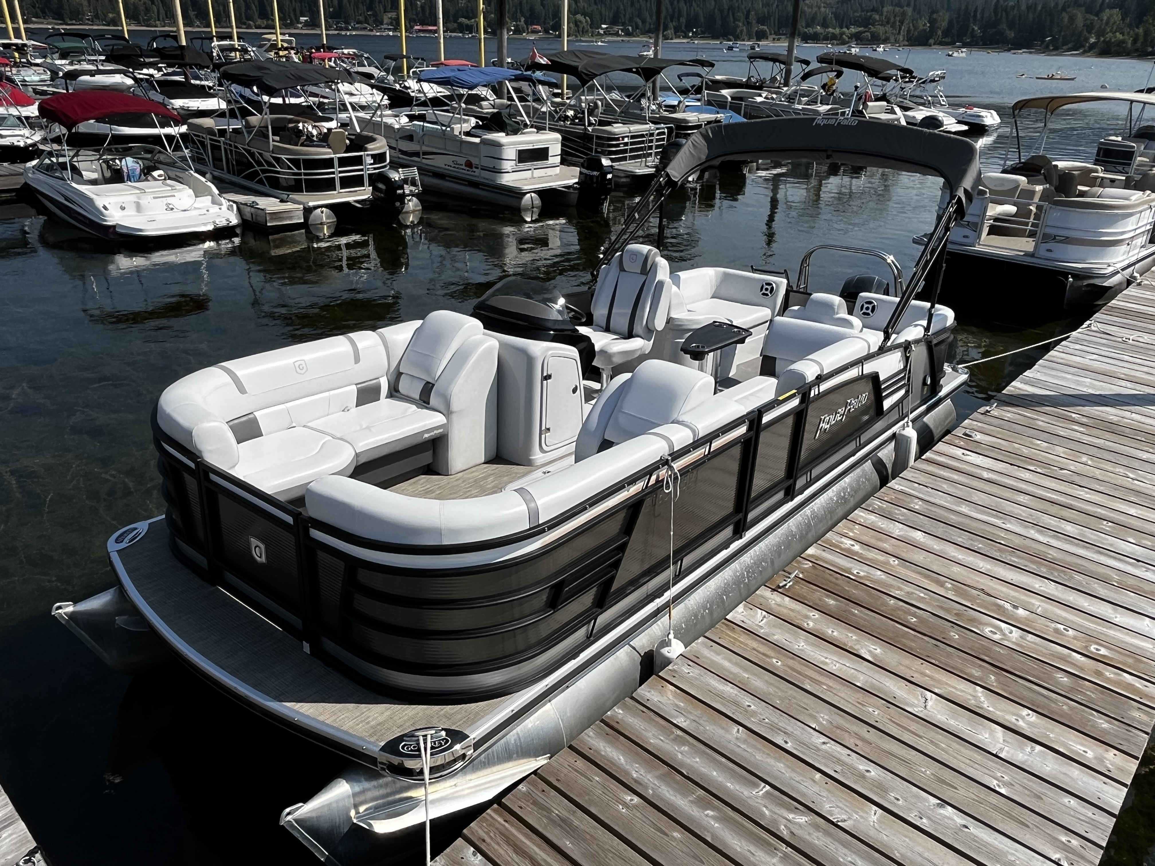 Boat Rental - Luxury Godfrey Aqua Patio Pontoon Boat